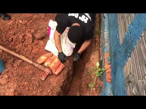 Polícia apreende R$ 60 mil em supermaconha enterrada em quintal em Mineiros- Mais Goias