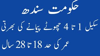 Govt of Sindh|Jobs in Sindh|Sindh jobs 2019