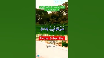 تلاوة هادئة...| الا إن نصر الله قريب | "اللهم انصر إخواننا المجاهدين في فلسطين_غزة"🇦🇪