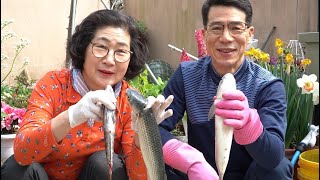 |211| GỎI CÁ ĐỐI CUỘN RAU SỐNG TỎI TƯƠI CHIA TAY CẬU,LẦN NÀY LÂU LẮM MỚI GẶP LẠI.