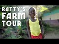 Ratty's Mini Farm! Tuna Shampoo, Papaya, Cane, Coco, Plantain, Banana, Pepper, Yam and more!