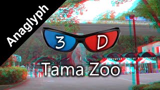 Tama Zoo Tokyo Japan in 3D Anaglyph - What are the animals?  多摩動物公園