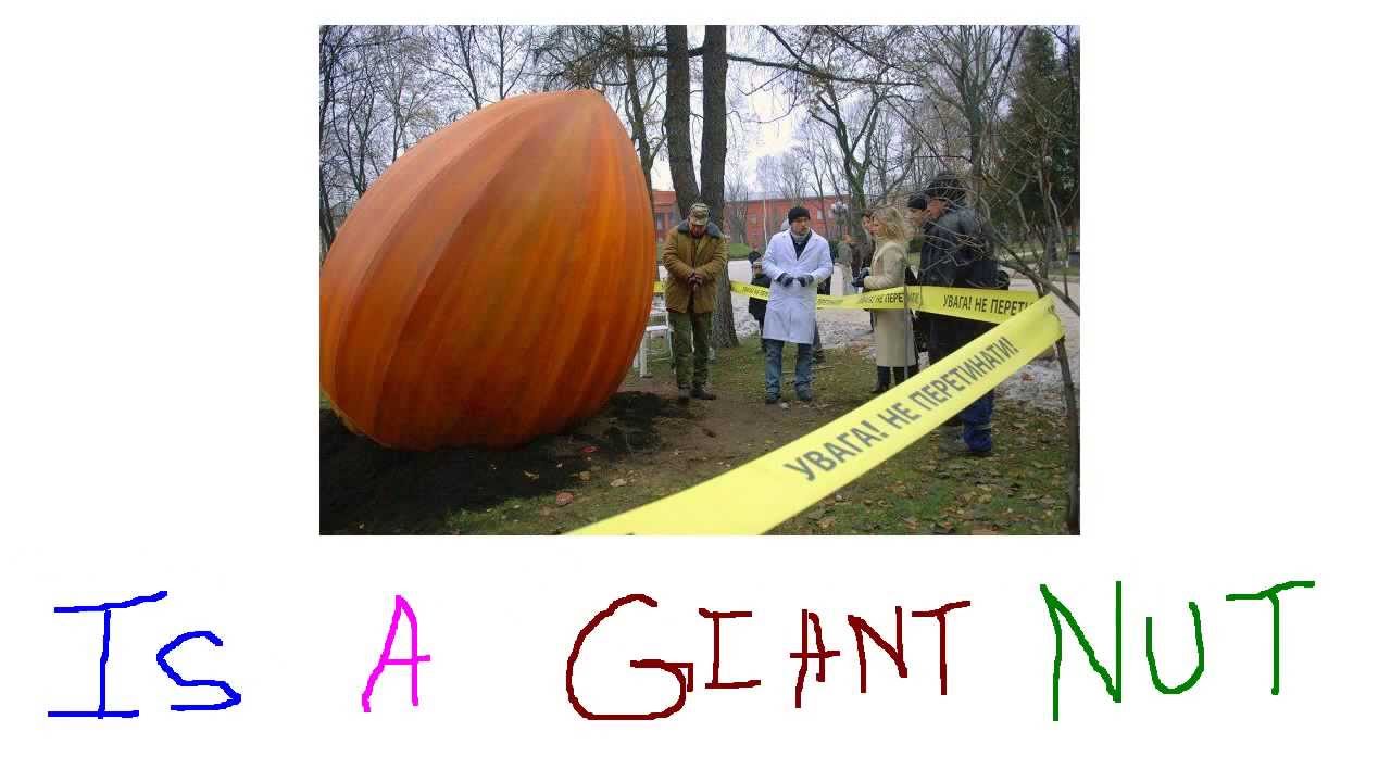 Giant nut. A Coconut nut is a giant nut.