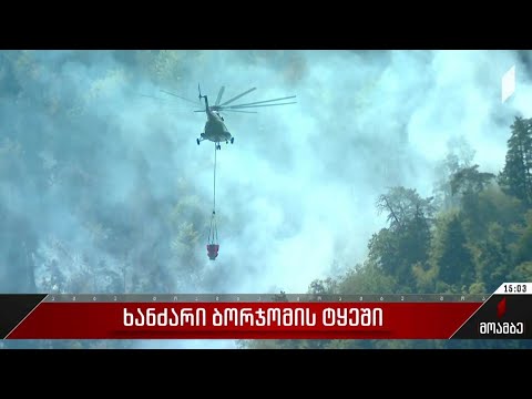 ხანძარი ბორჯომის ტყეში