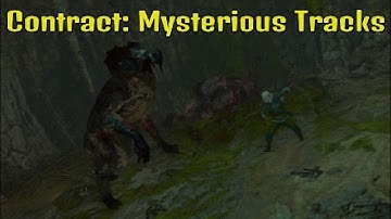 The Witcher 3 | Contract: Mysterious Tracks