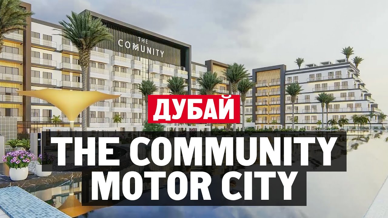 Мотор сити дворняга