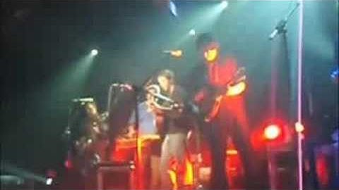 Yonder Mountain String Band Cuckoo