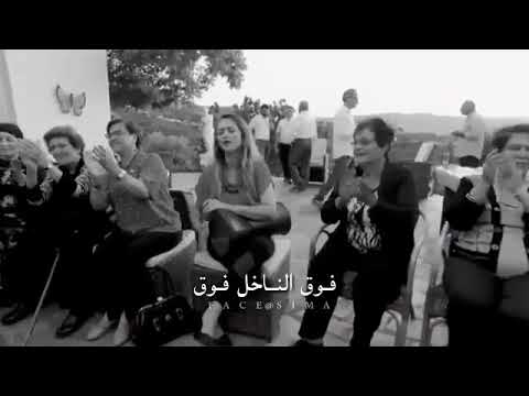دلال أبو آمنة فوق النخل