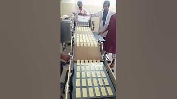 PD400 SOFT BISCUIT FORMING MACHINE WITH TRAYS FEEDING SYSTEM, SOFT BISCUIT ROTARY CUTTING MACHINE