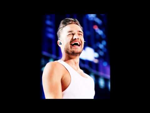 happy 22nd birthday liam payne 2015