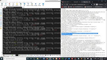 mangya MMS WAF terminal demo | MMS WAF | Machine learning based WAF