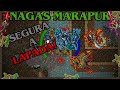 [TIBIA] EK 788 NAGAS DE MARAPUR | 6.7KK/H RAW + 1.1KK PROFIT