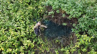 Fish Rescue! There are Fish Stranded In The Puddles In the Woods!