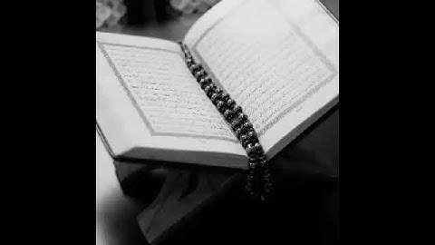 سورة الماعون سعد الغامدي