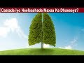 Caato Inuu Qofku Noqdo Waxaa Keena Neefsashada Caato Inuu Qofku Noqdo Waxaa Keena Neefsashada