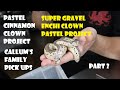 Bullus Family Pick ups - part 2 -Pastel Cinnamon Clown Project and Super Gravel Enchi Clown Project