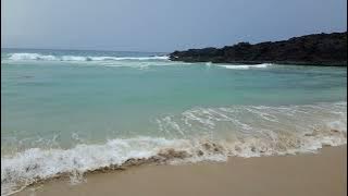 Tarika Ny Mpivahiny - Tapatapaka Moza