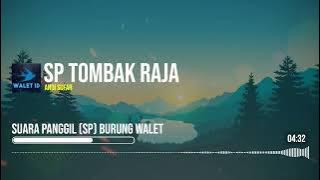 SP TOMBAK RAJA ‐ ANDI SUFAR Suara Panggil Burung Walet