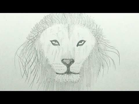 How to draw lion face. Very easy and very simple. - YouTube