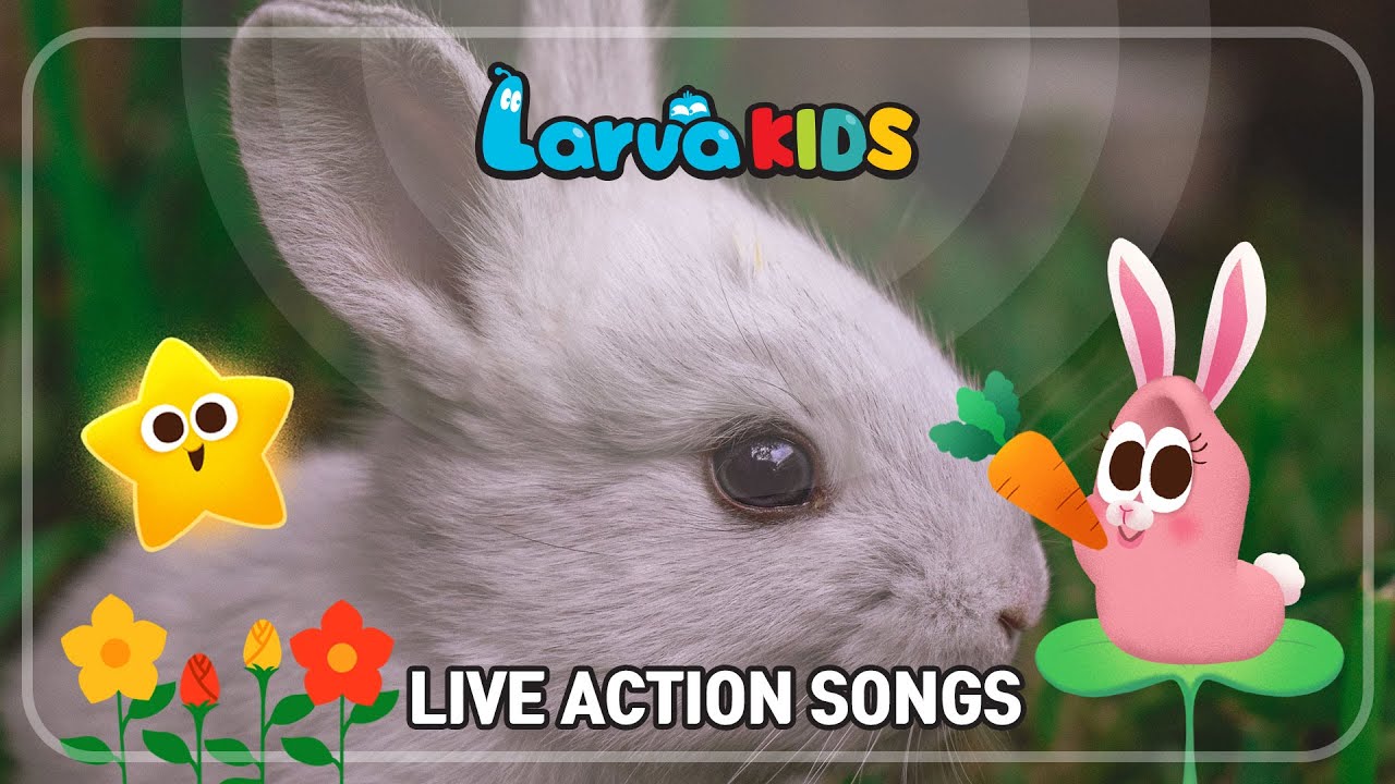 ⁣★LARVA KIDS LIVE ACTION SONGS★ | kids songs | compilation | 15min | larva | for kids