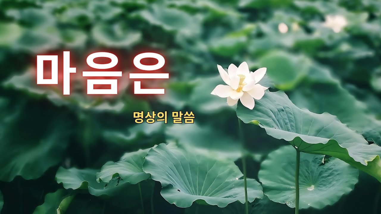 마음은  명상의 말씀   대사   엄주환