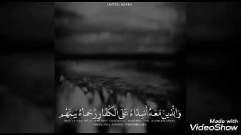محمد رسول الله ِ - أسلام صبحي | تلاوة مميزة من أواخر سورة الفتح - حالات واتس اب دينية