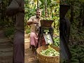 देसी जुगाड से केला चिप्स बनाई #desi #jugaad #trending #chacha #jugad #reel #reels #रील्स #desijugaad