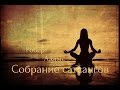 Роберт Адамс - Страна джняни. Сатсанг | Аудиокнигa | Адвайта | NikOsho