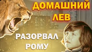 БЕРБЕРОВЫ: как обычная советская семья держала львов и поплатилась за это жизнью сына