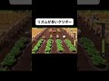 新作マリオパーティのハードでもリズム良く掘ってみた#short