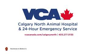 VCA Calgary North Animal Hospital & 24 Hour Emergency Service | Consumer Choice Award