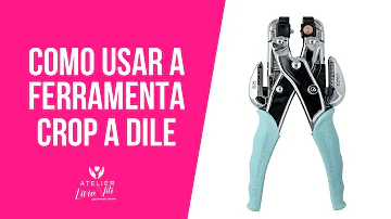 Para que serve o Crop a Dile?