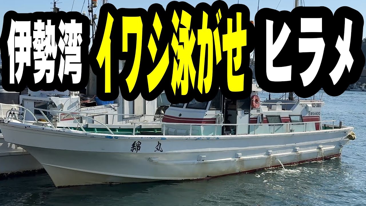 《愛知・綿丸》【伊勢湾イワシ泳がせ】初乗船…激渋の日のリアルをそのまま撮ってきた2025 11 30