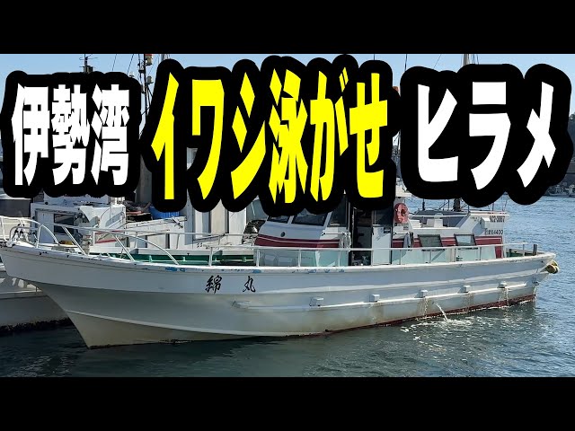 Aichi・Watamaru》【Ise Bay Sardine Swim】First time on board I