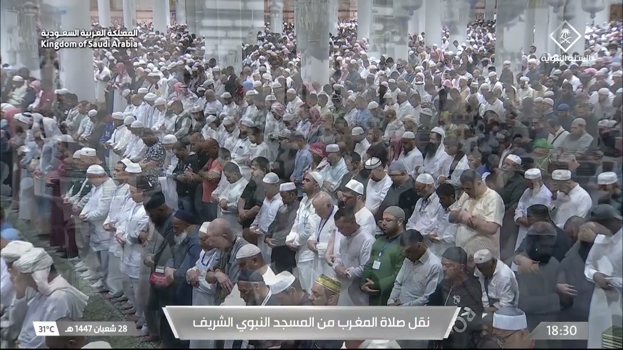 صلاة المغرب للشيخ محمد برهجي 28 شعبان 1447هـ