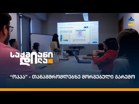 “ოპპა” - თანამშრომლებზე მორგებული გარემო