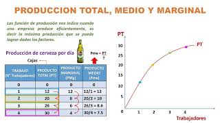 Producto total, marginal y medio