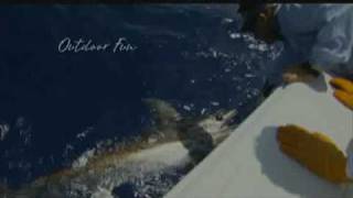 Quenzel & Associates - TV Advertising for Client Hawks Cay Resort