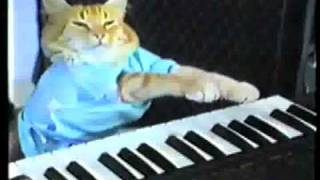 Play Her Off, Keyboard Cat