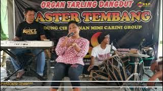 SARUNG ILANG VOCAL MIMI CARINI MASTER TENGDUNG