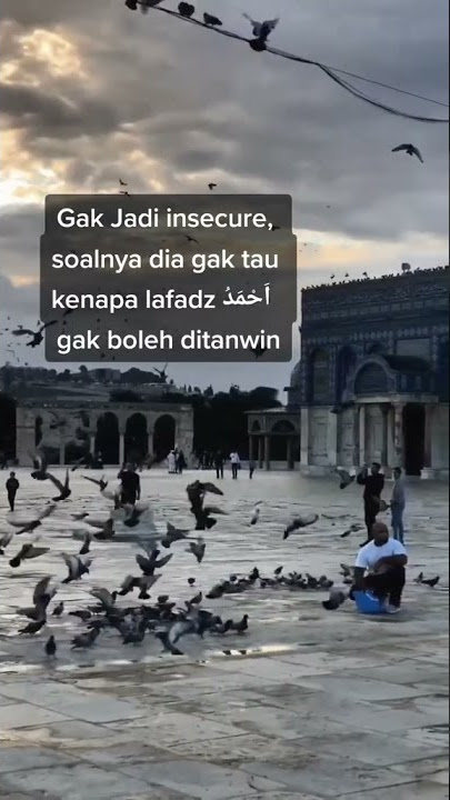 nahwu shorof #bahasaarab #belajar #nahwu #ghoirumunshorif