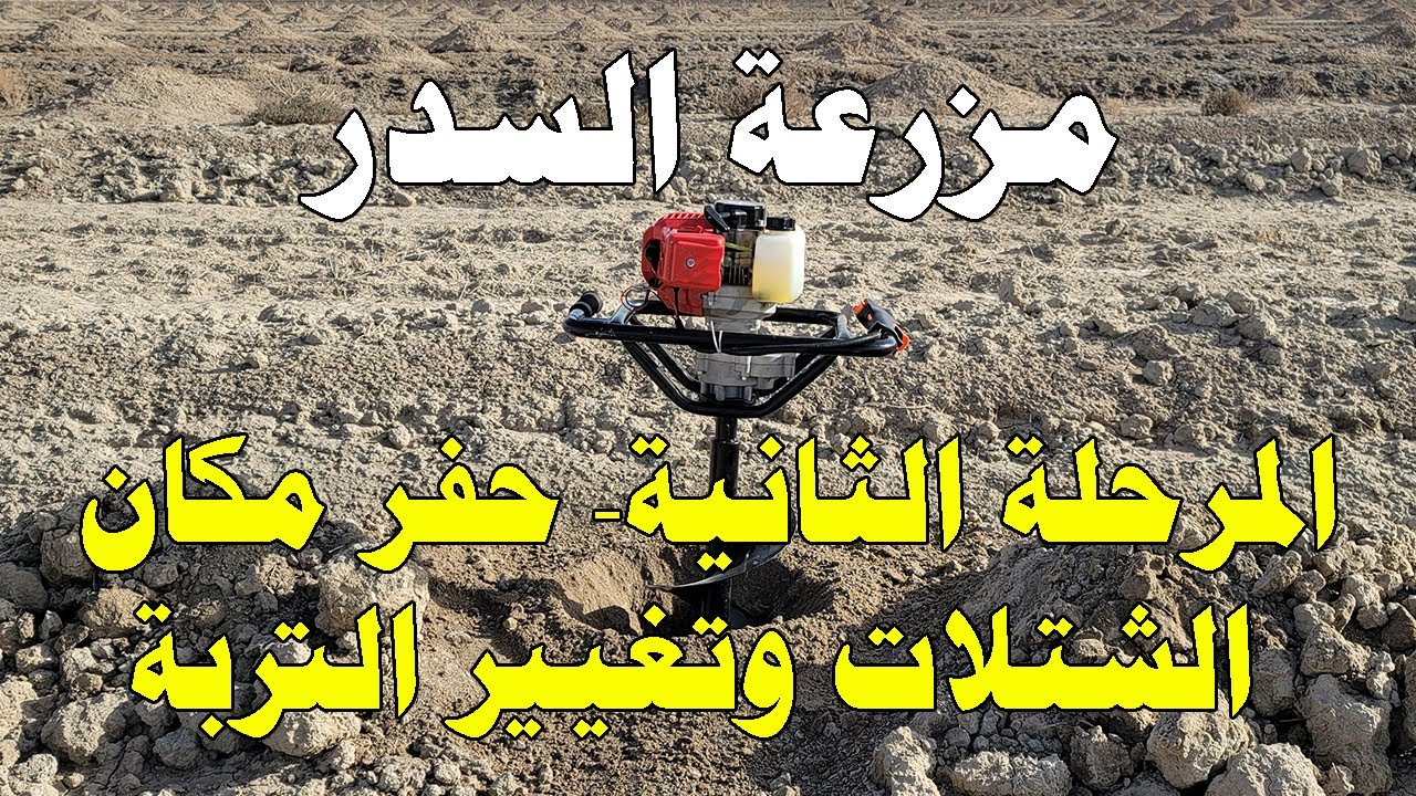 مزرعة السدر 2 - حفر مكان الشتلات وتغيير التربة للزراعة