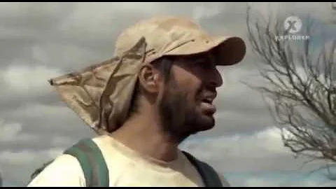 Co jsou pouštní zvířata?