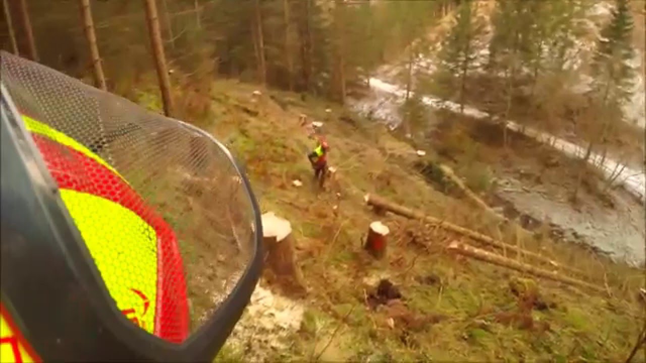 Forstservice Eberhardt