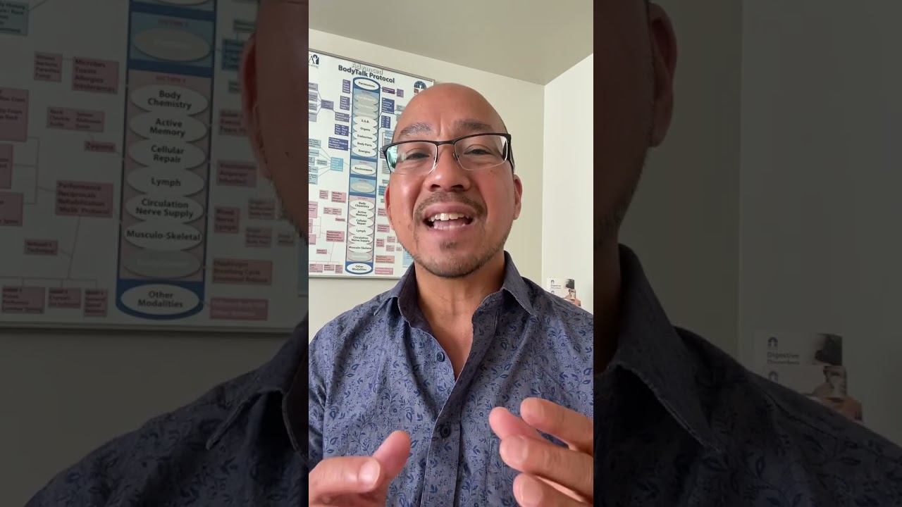 What is the BodyTalk system?