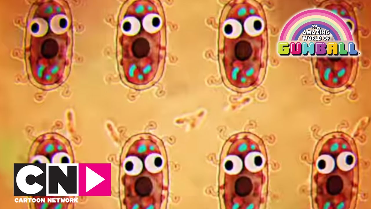 bacterii nonpatologice detox pentru colon de casă