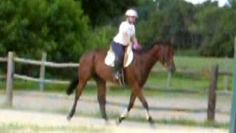 Skif and Susan canter right lead and gallop