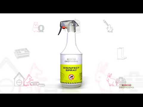 4 Redenen Om Je Kippenhok Te Desinfecteren Versele Laga