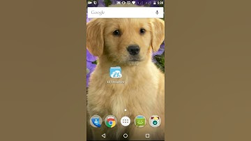 How to backup respawnables account!!!