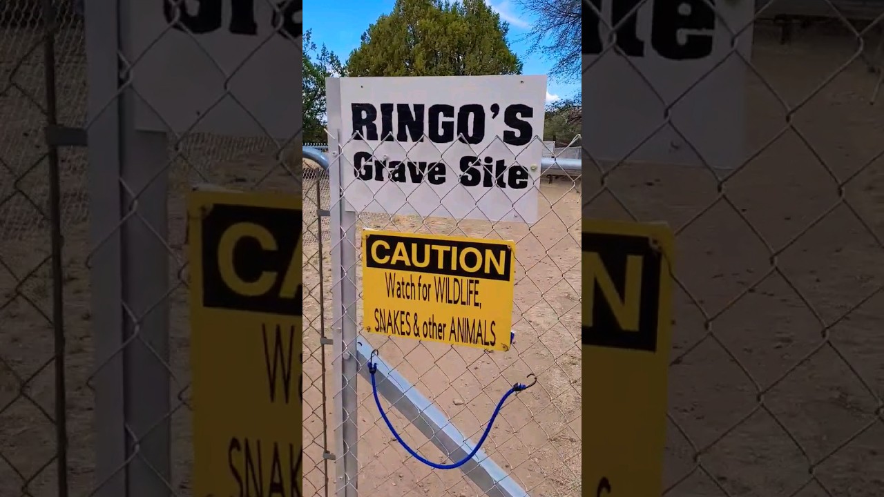 Johnny Ringo Gravesite 